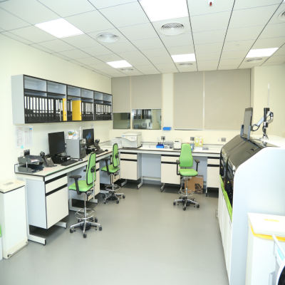 Project view