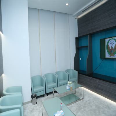 Project view